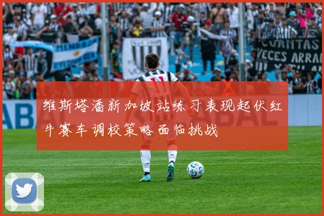 维斯塔潘新加坡站练习表现起伏红牛赛车调校策略面临挑战