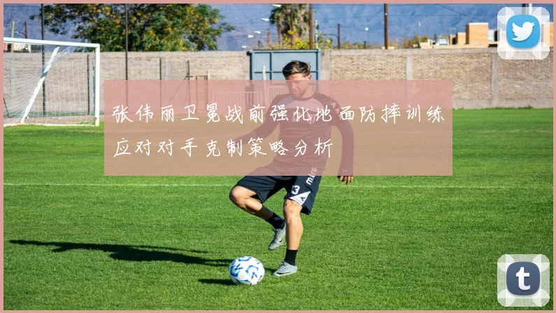 张伟丽卫冕战前强化地面防摔训练应对对手克制策略分析