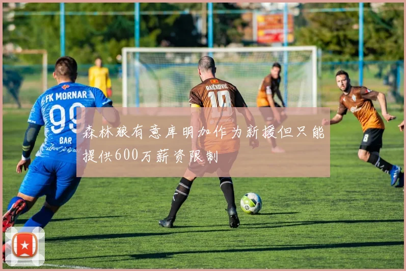 森林狼有意库明加作为新援但只能提供600万薪资限制